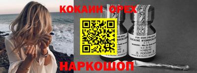 гашик Гай