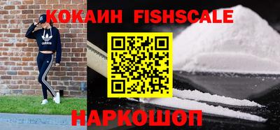 индика Гатчина