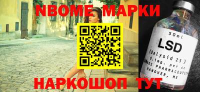 индика Гатчина