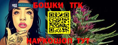 индика Гатчина