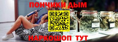 индика Гатчина