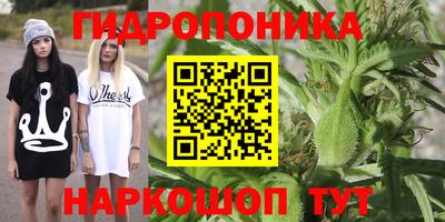 гашик Гай