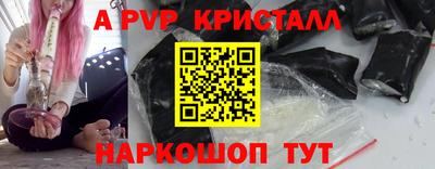 индика Гатчина