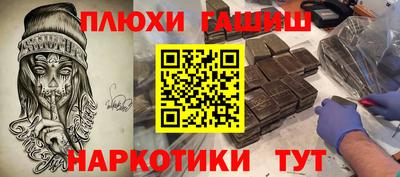 индика Гатчина