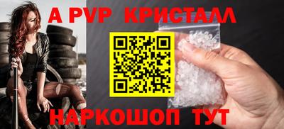 индика Гатчина