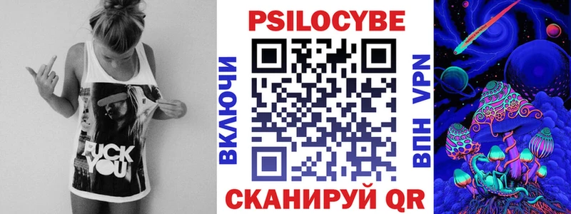 даркнет сайт  Димитровград  Галлюциногенные грибы Psilocybe 