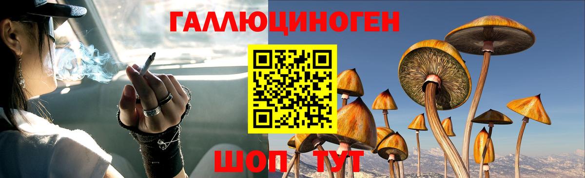 Псилоцибиновые грибы прущие грибы Димитровград