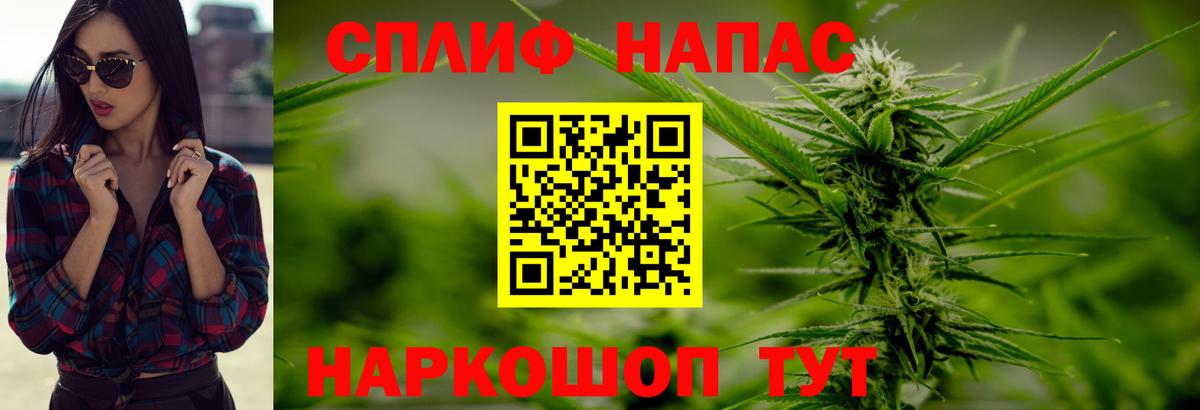 Каннабис SATIVA & INDICA Димитровград